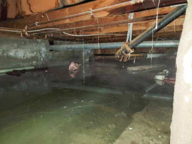 Best Carpet water damage restoration  in Exeter, CA