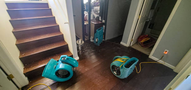 Best Water damage restoration near me  in Exeter, CA