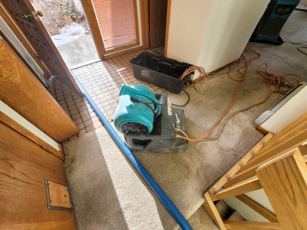 Best Water damage restoration cost  in Exeter, CA