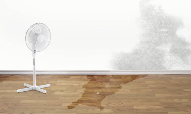 Best Emergency water damage restoration  in Exeter, CA