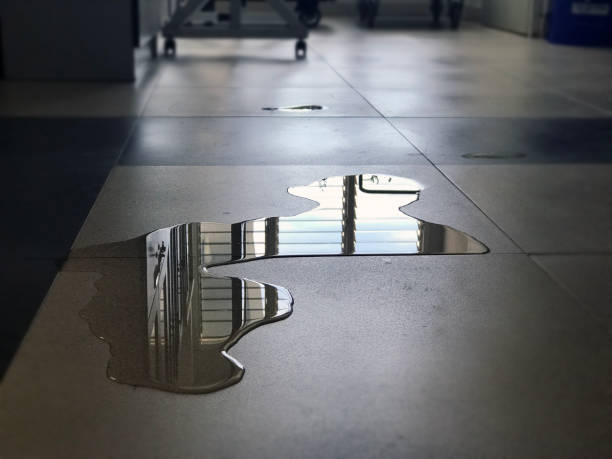 Best 24-hour water damage restoration  in Exeter, CA