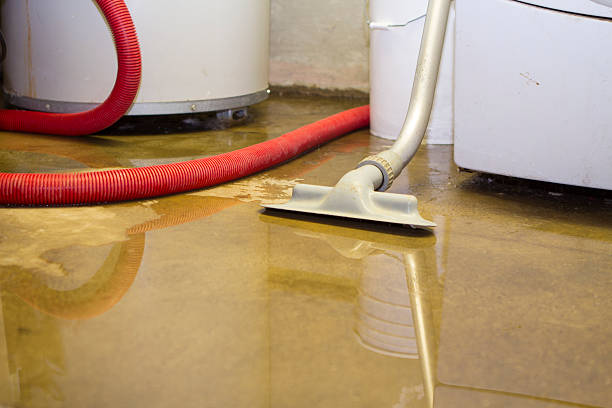 Best Water damage restoration process  in Exeter, CA