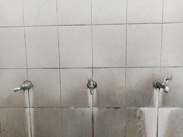Best Flood damage cleanup  in Exeter, CA
