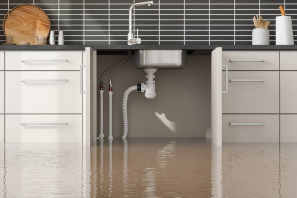 Best Flooded house restoration  in Exeter, CA