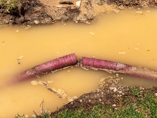 Best Sewage cleanup and water damage restoration  in Exeter, CA