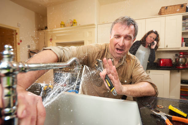 Best Professional water damage repair  in Exeter, CA